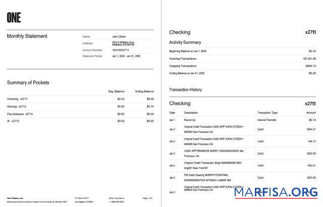Realistic USA One Finance, Inc. bank statement word 2 pages download for verification